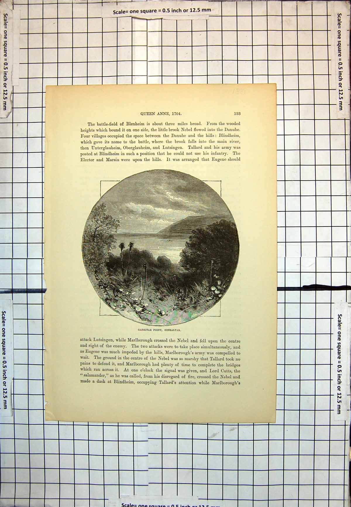 Print Gabritar Point Gibralter View To Sea Local Foliage Plants Headland 142J