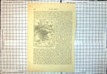 Old Map Burghley And Neighbourhood Stamford Race Course Pilsgate 161J