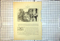 Old St. Joseph'S Chapel Glastonbury Ruinous Arched Windows Foliage 181J 19th