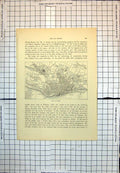Old Print Map Dundee Scotland Firth Tay Bridge Railway Lines Streets 189J 19th