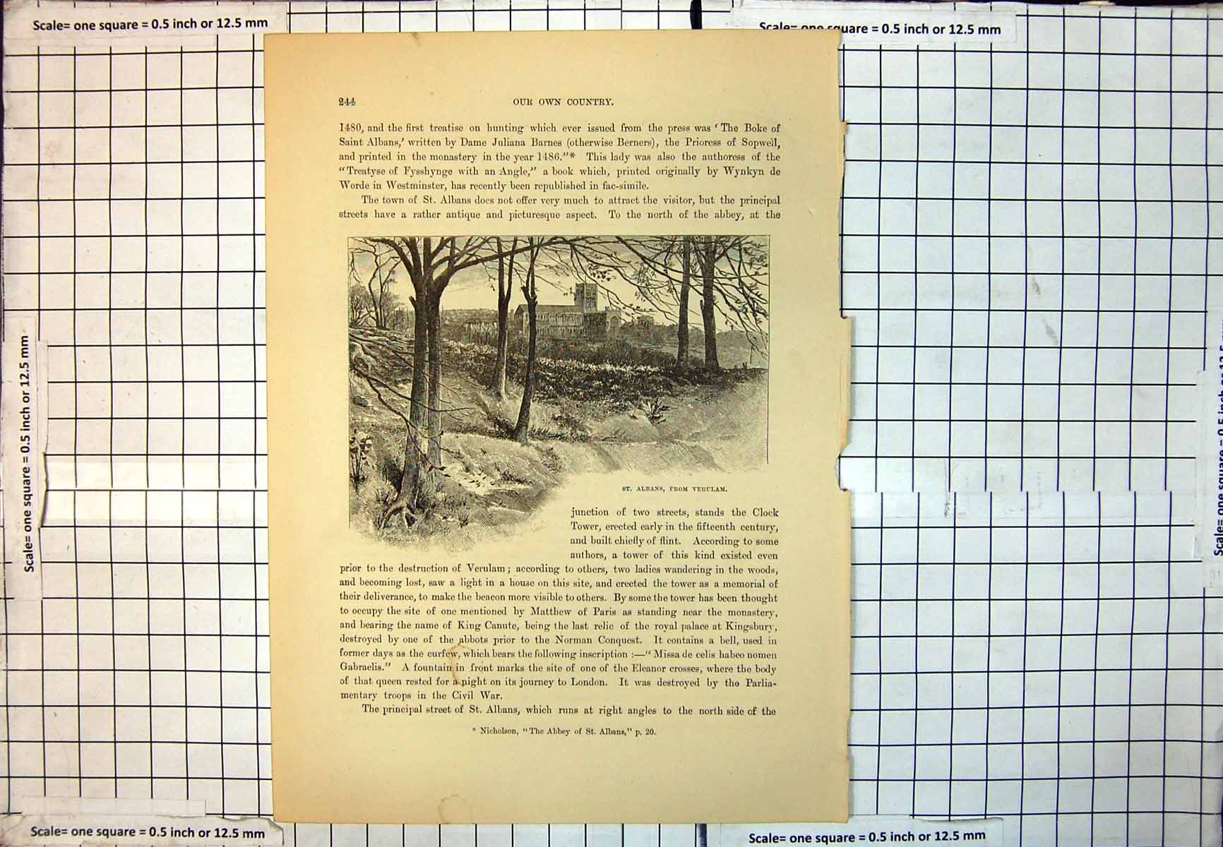 Old Print St. Albans From Verulam Cathedral Trees Hillside Vegetation 197J 20th