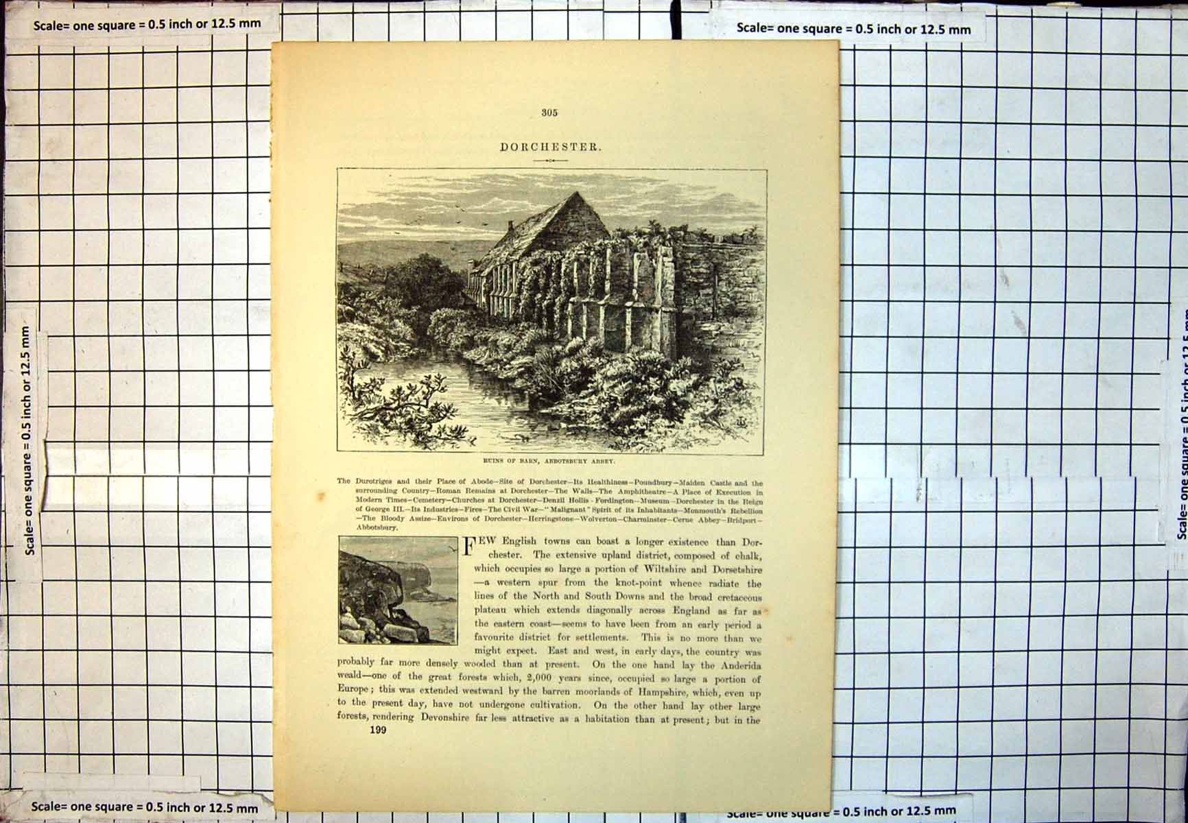 Old Print Ruins Barn Abotsbury Abbey Long Foliage Covered Wall Water 198J 20th
