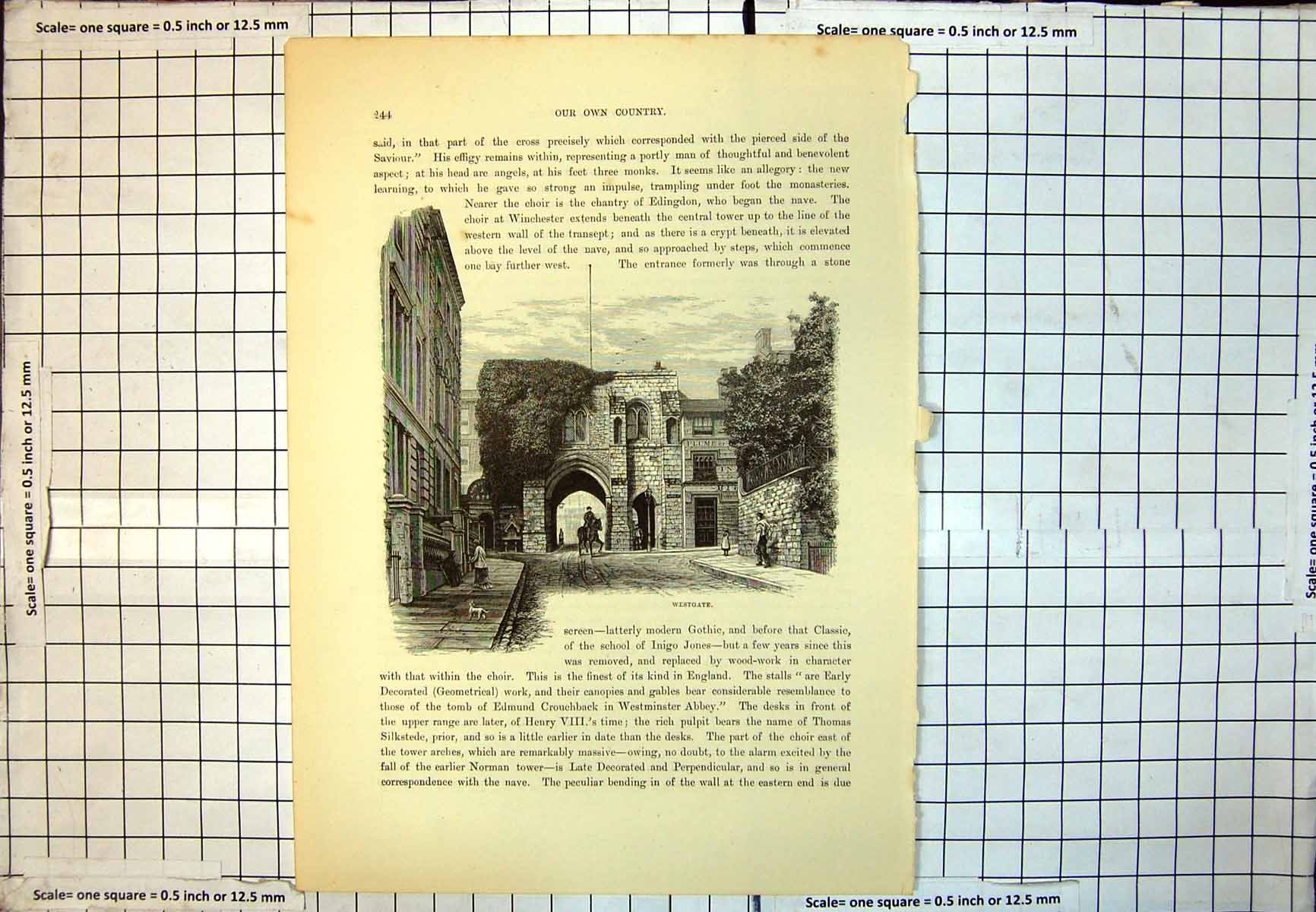Old Westgate Ivy Man Riding Horse Beneath People Street Dog Trees 207J