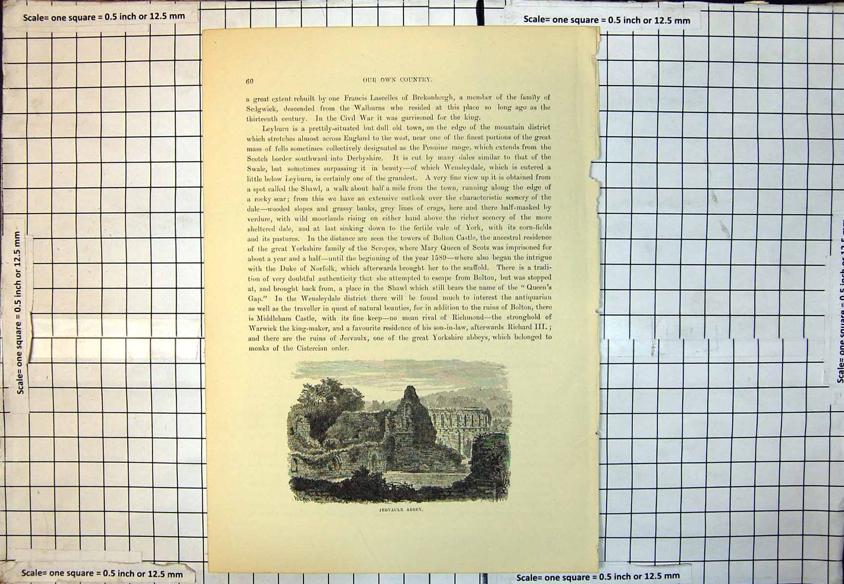 Old Jervaulx Abbey Near Ripon Yorkshire Ruins Foliage Arched Windows 211J