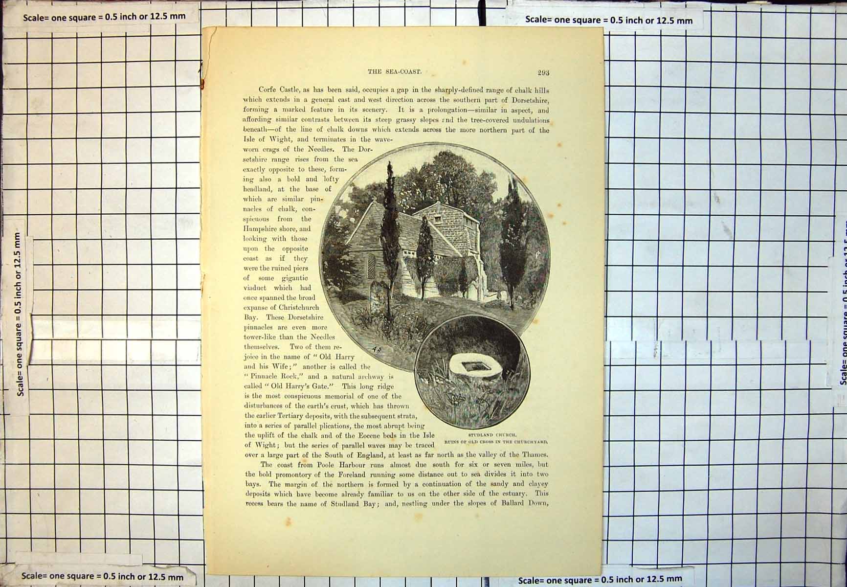 Original Old Antique Print Studland Church Ruins Cross In Churchyard Dorset 220J