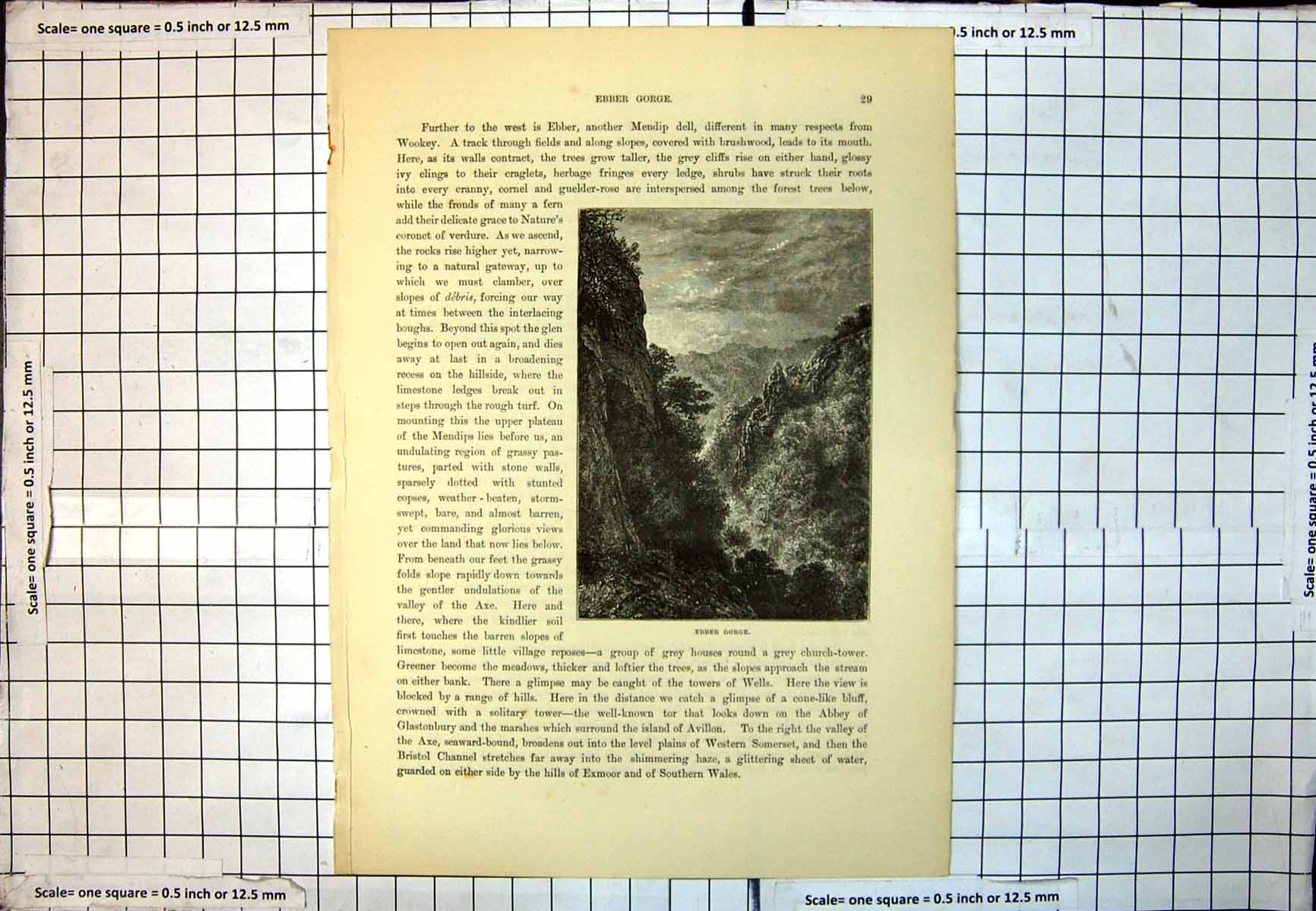 Antique Print Ebber Gorge Mendips Cliffsides Rocks Trees Vegetation Sky 223J