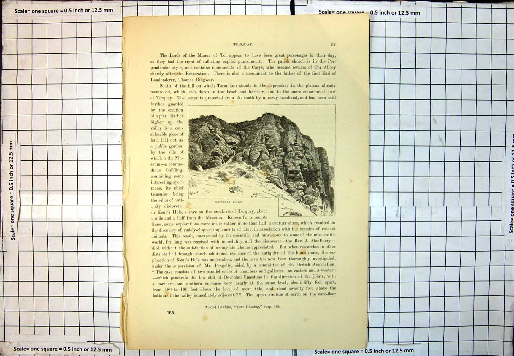 Old Print Watcombe Rocks Devon Cliffside Vegetation Steep Slopes Sky 225J