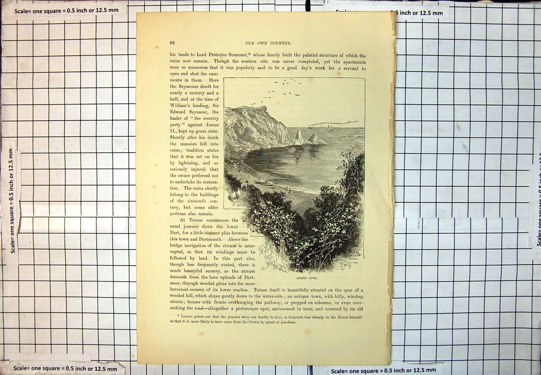 Old Anstis Cove Cliffs Stacks Bay Boats Steamer Sheep Vegetation 226J