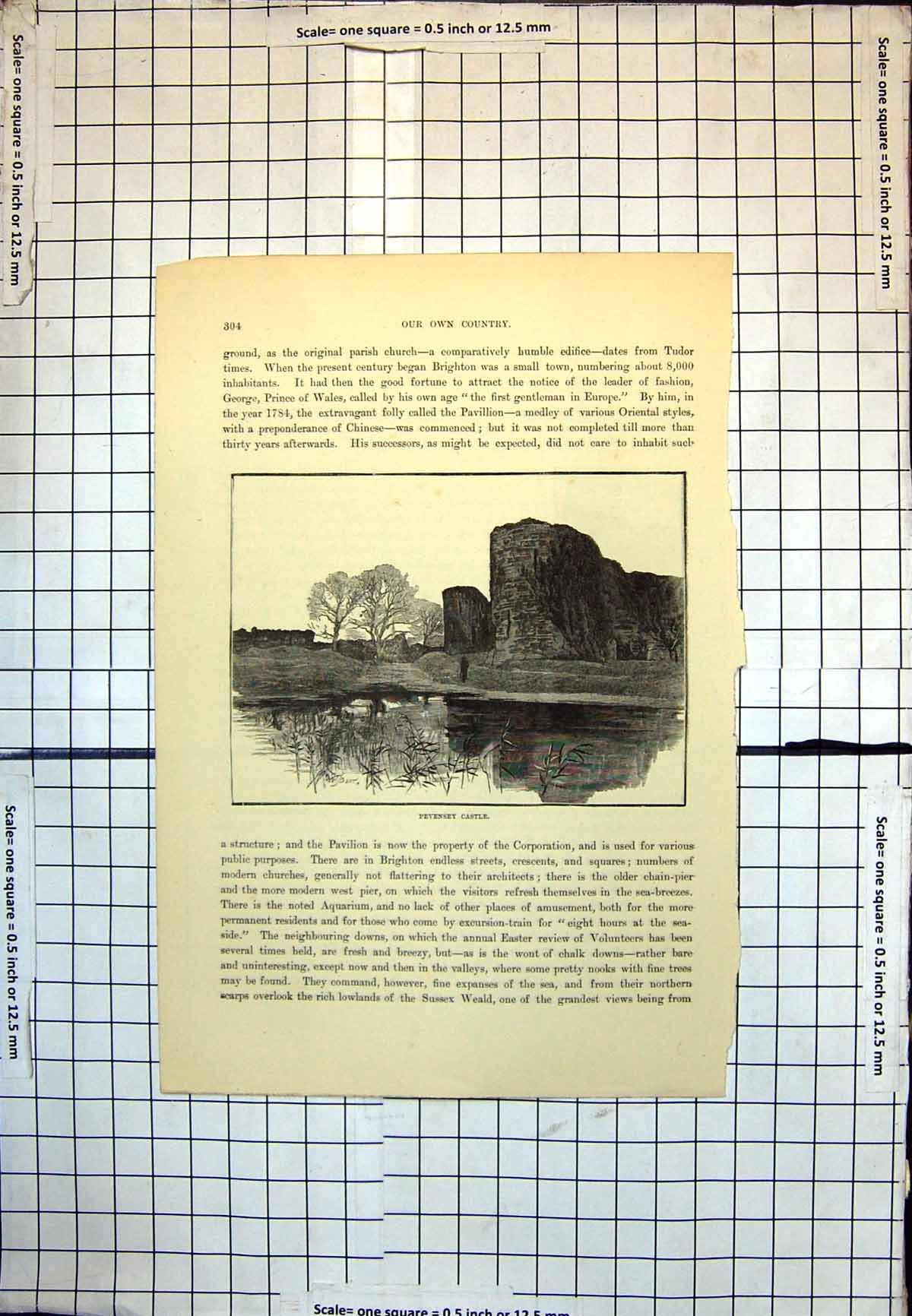 Old Print Pevensey Castle East Sussex Round Towers Trees Water Reeds 231J