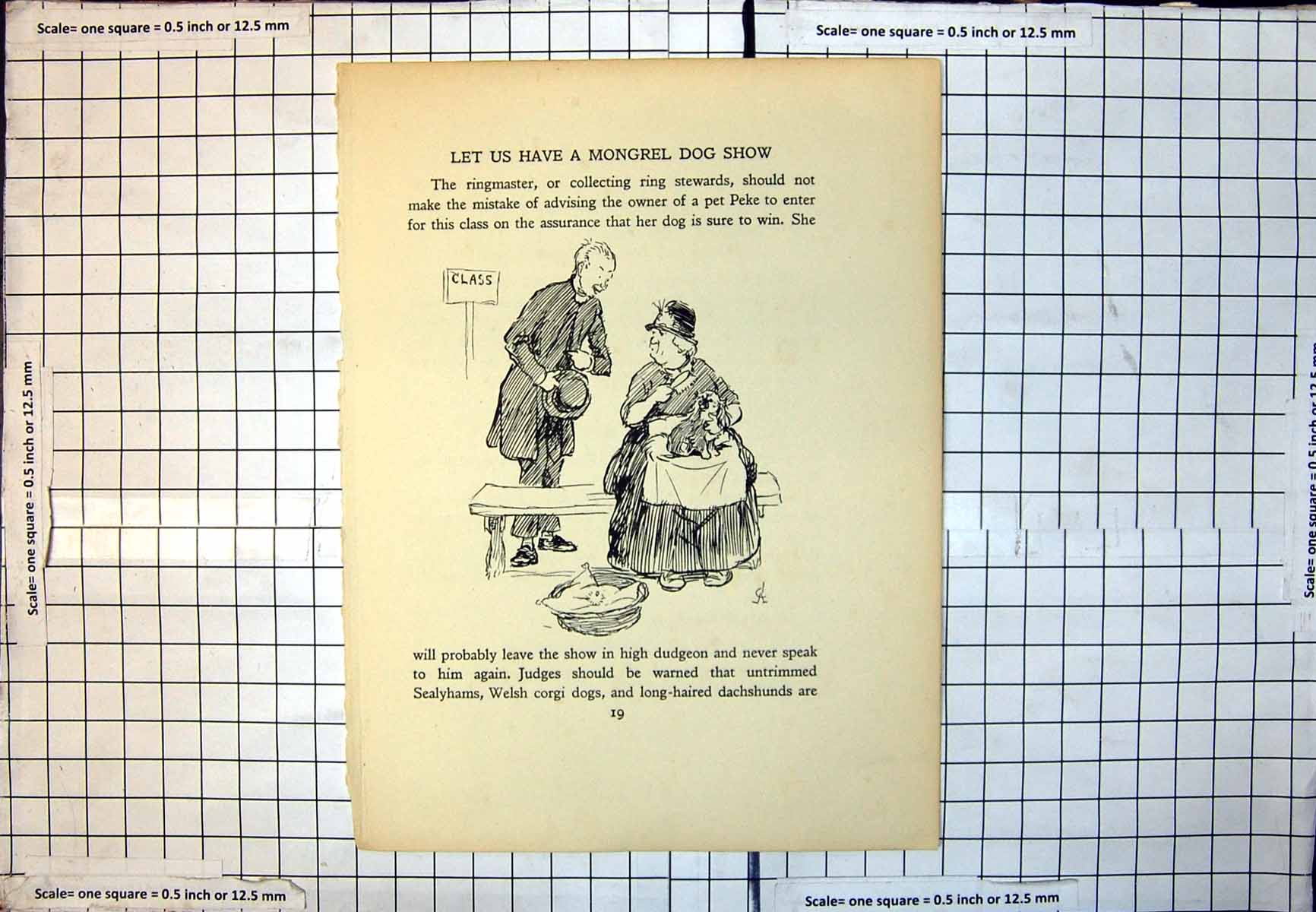Antique Print Mongrel Dog Show Pet Peke Lady Judge Top Hat Basket Bench 238J