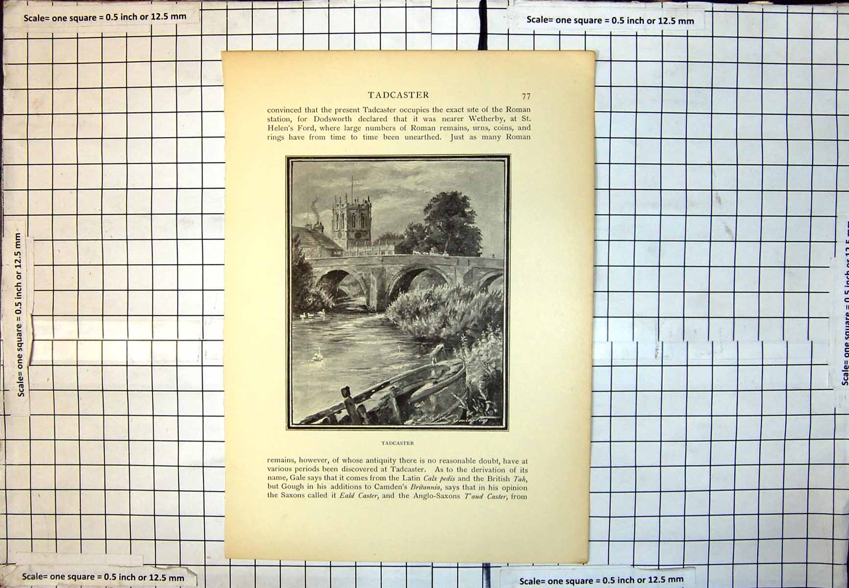 Old Tadcaster Church Bridge River Rowing Boat Water Trees Foliage 247J