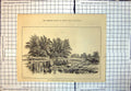 Old Thames Between Henley Wargrave Islands Trees Waterside Plants 248J