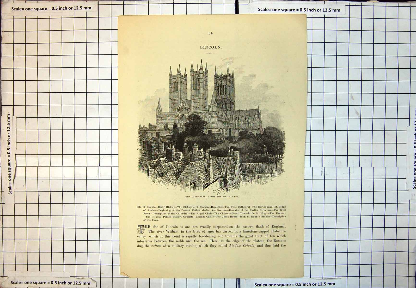 Antique Old Print Lincoln Cathedral From South West Trees RoTops Houses 254J