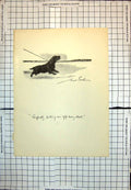 Old Black Dog Carefully Pulling Man Off Every Shot Open Landscape 261J