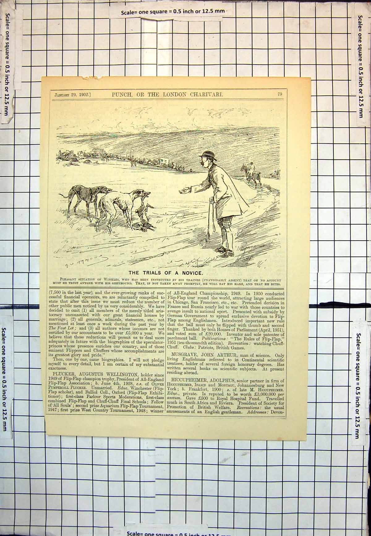 Old Novice Greyhound Hare Coursing Dog Bites Eats Prey Punch 1902 266J 20th