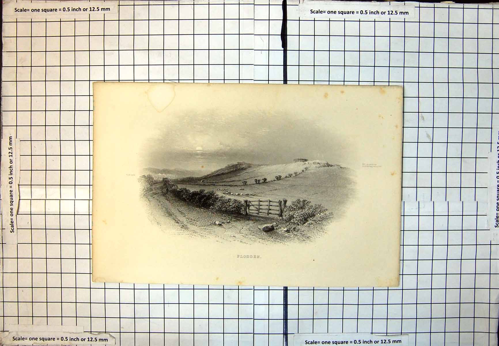 Old Flodden Cart Track Hedge Field Gate Fields Sloping Uphill Trees 273J