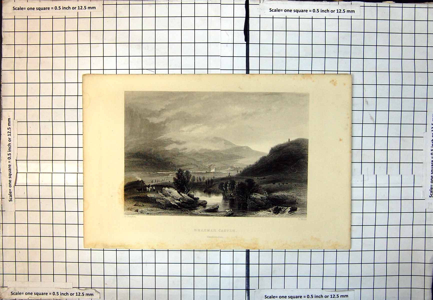 Old Braemar Castle Aberdeenshire Cattle Horseman Mountains River 276J