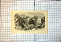 Old Scene Foochun Hills Province Che Keang China Waterfall Palms 303J