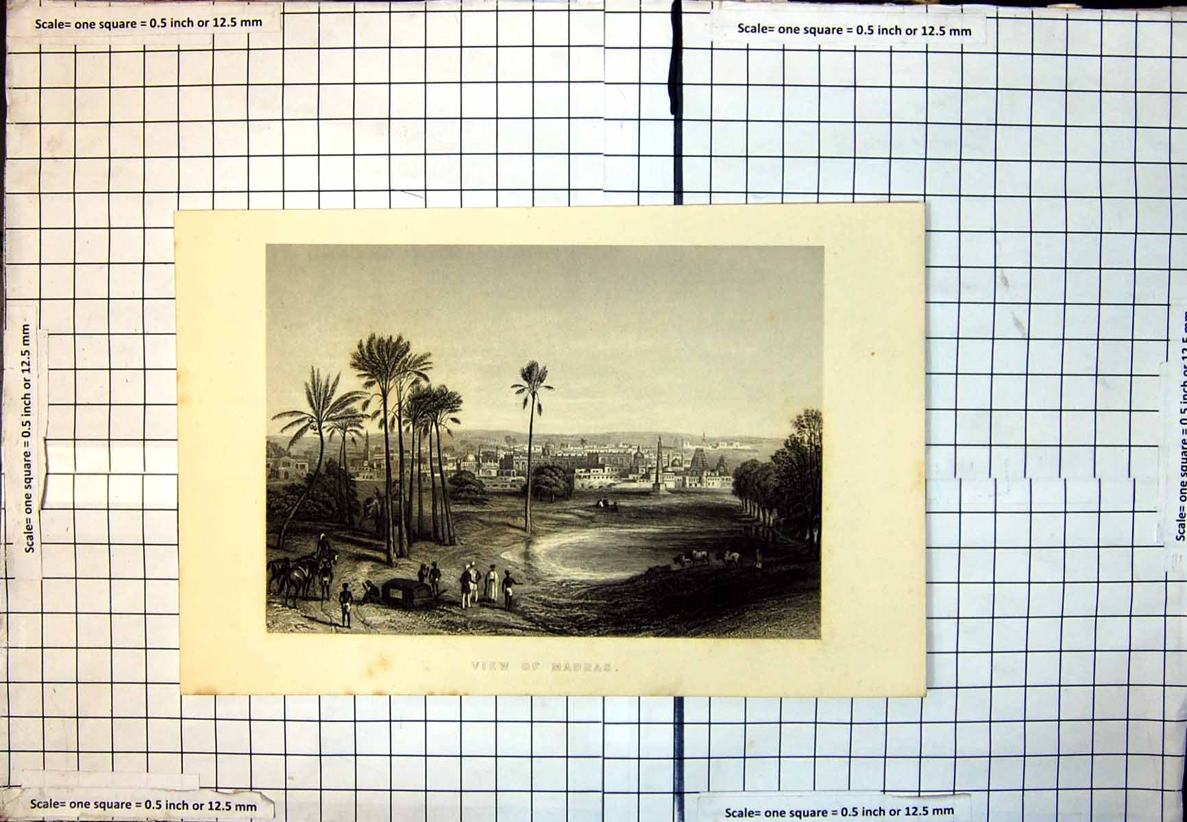 Old Madras City Spires Domes Buildings Palms Cattle Horses C1865 307J Victorian