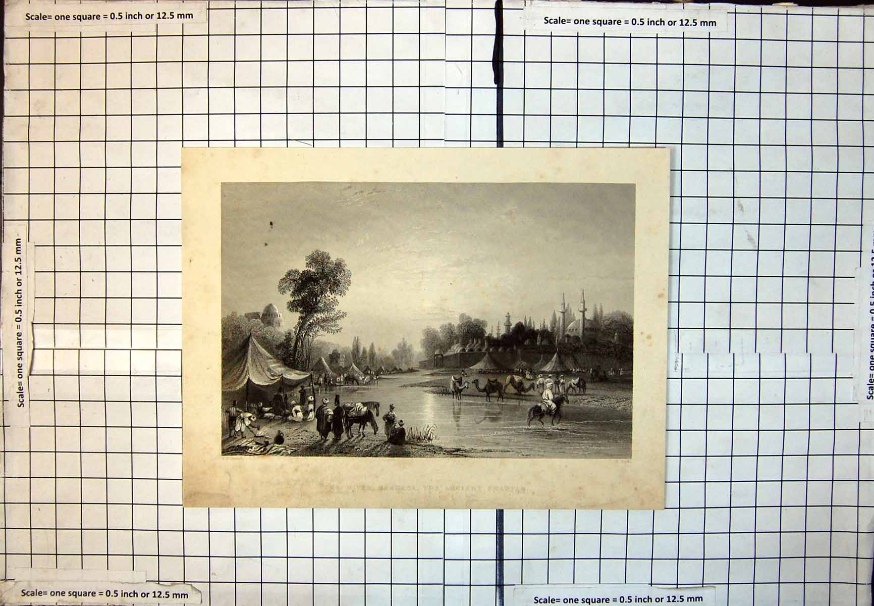 Old River Barrada Ancient Pharpar Syria Camels Horses Tents Trees 327J