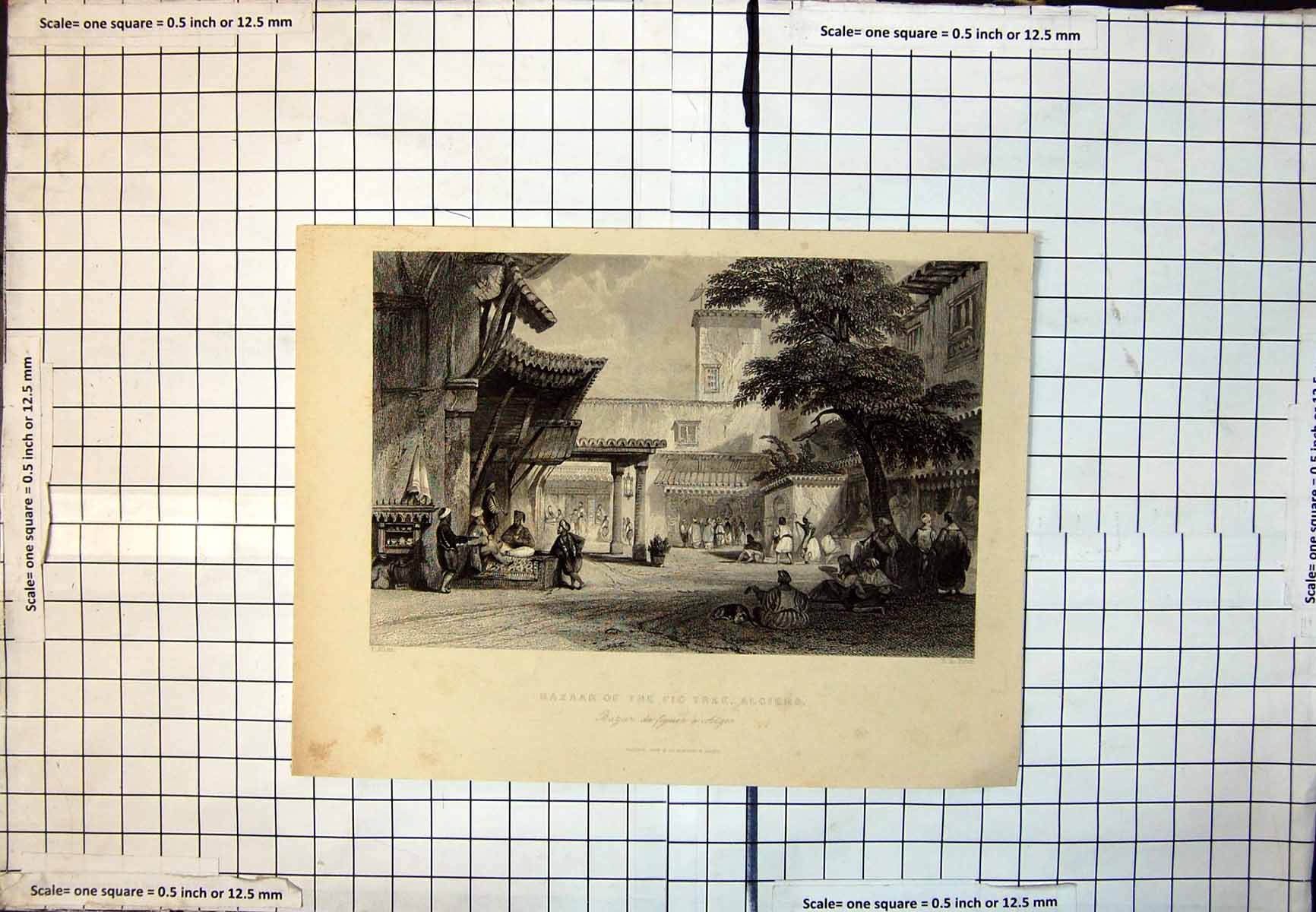 Old Print Bazaar The Fig Tree Algiers Long Pipes Men Seated Outdoors 342J