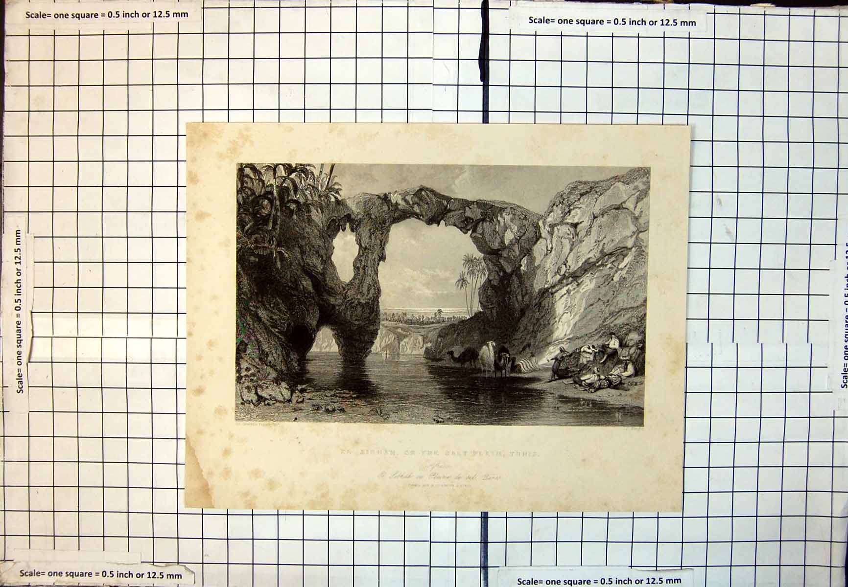 Old El Sibhah Salt Plain Tunis Camels Water Below Natural Rock Arch 343J