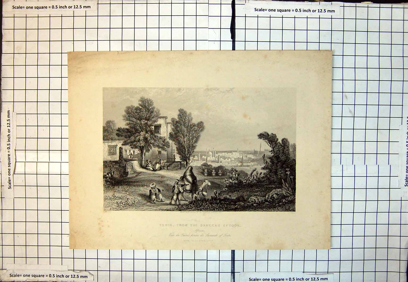 Old Tunis From Saneeah Eftoor City Domes Buildings Camel Load People 344J