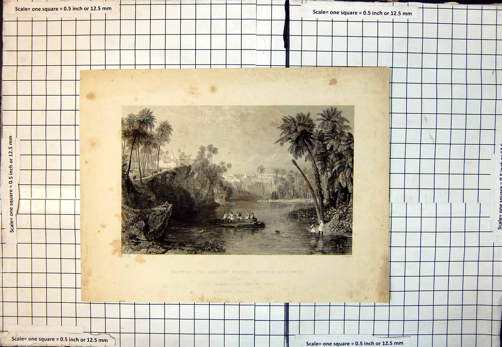 Old Neftah The Ancient Negeta Beylik Tunis Africa Buildings Palms 350J
