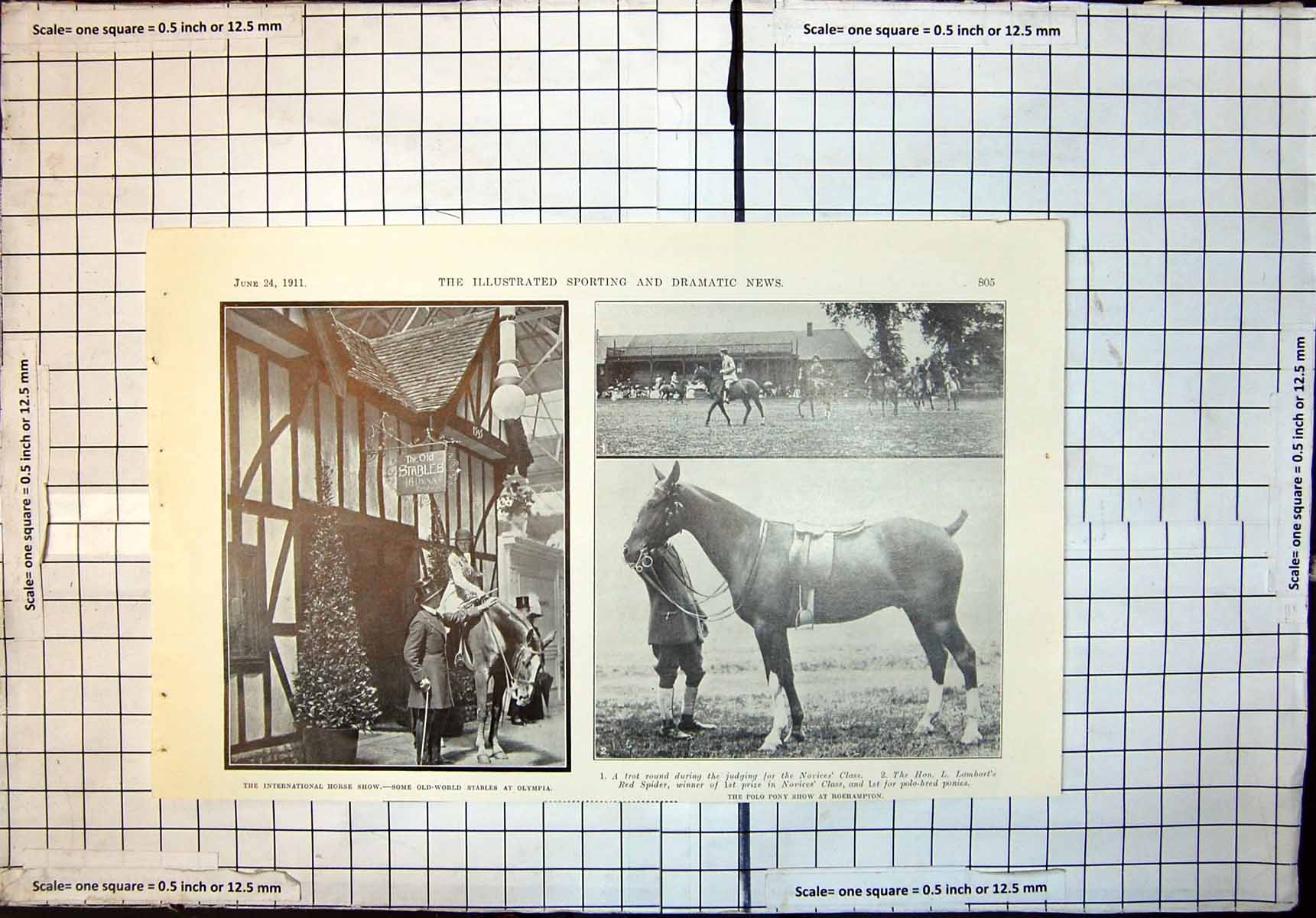 Old Print International Horse Show Stables Olympia L Lambarts Squire 1911 20th