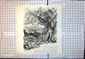 Original Old Antique Print Florence From Bellosguardo Looks Down Olive Groves