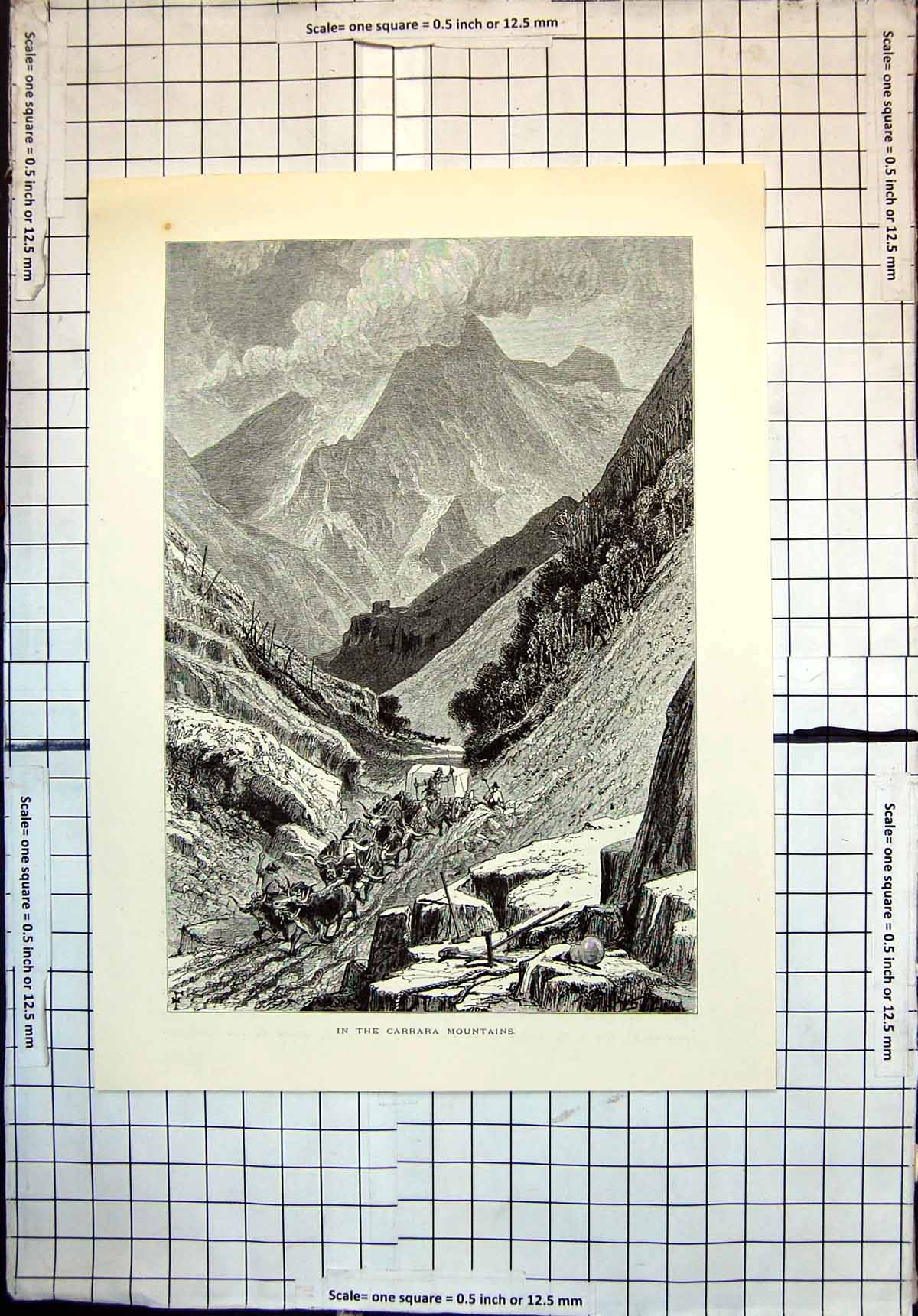 Original Old Antique Print Carrara Mountains Valley Oxen Pulling Cart