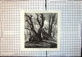 Original Old Antique Print Etna Chestnut Trees Travellers Forest