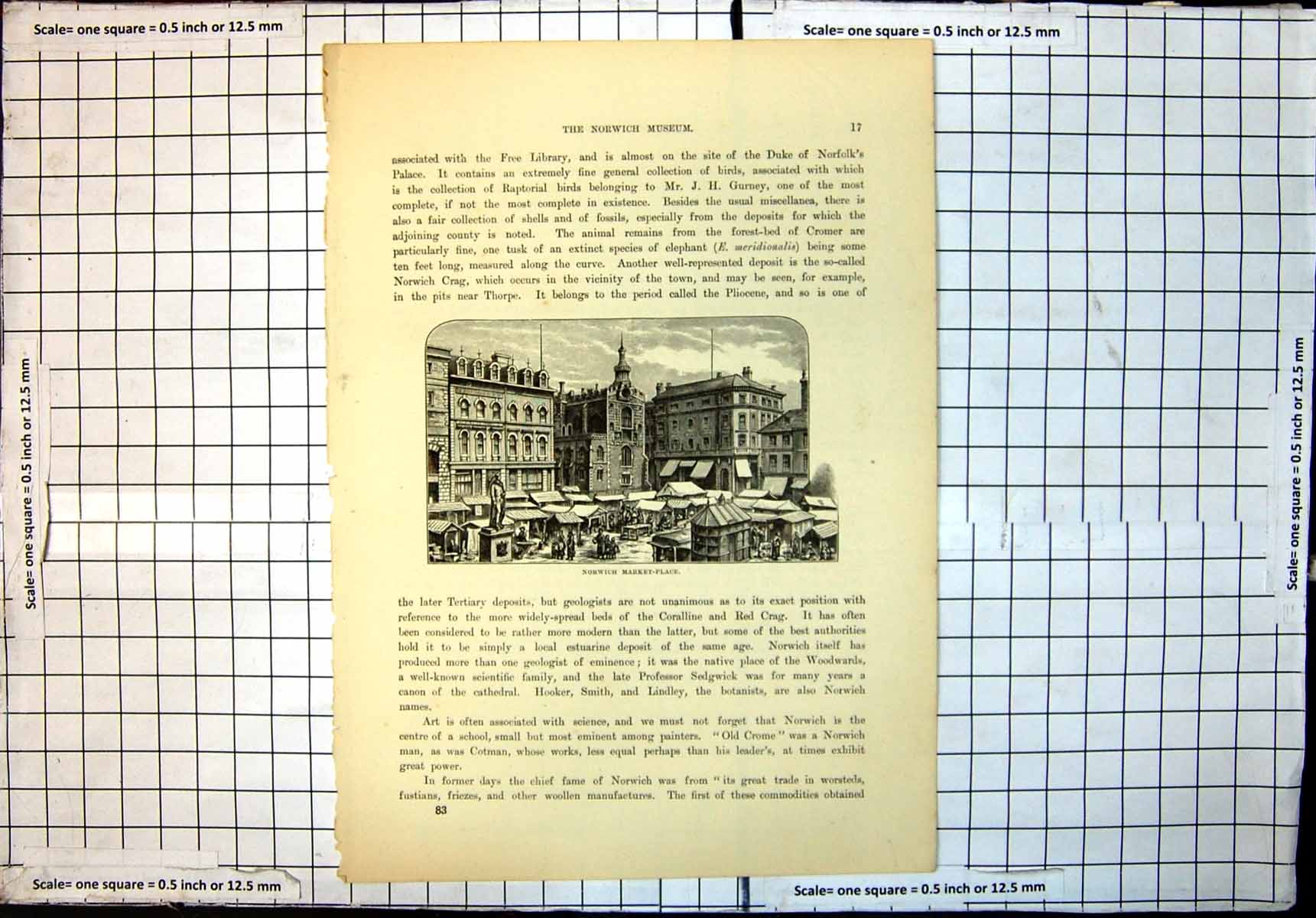 Original Old Antique Print Norwich Market Place Stalls Buildings