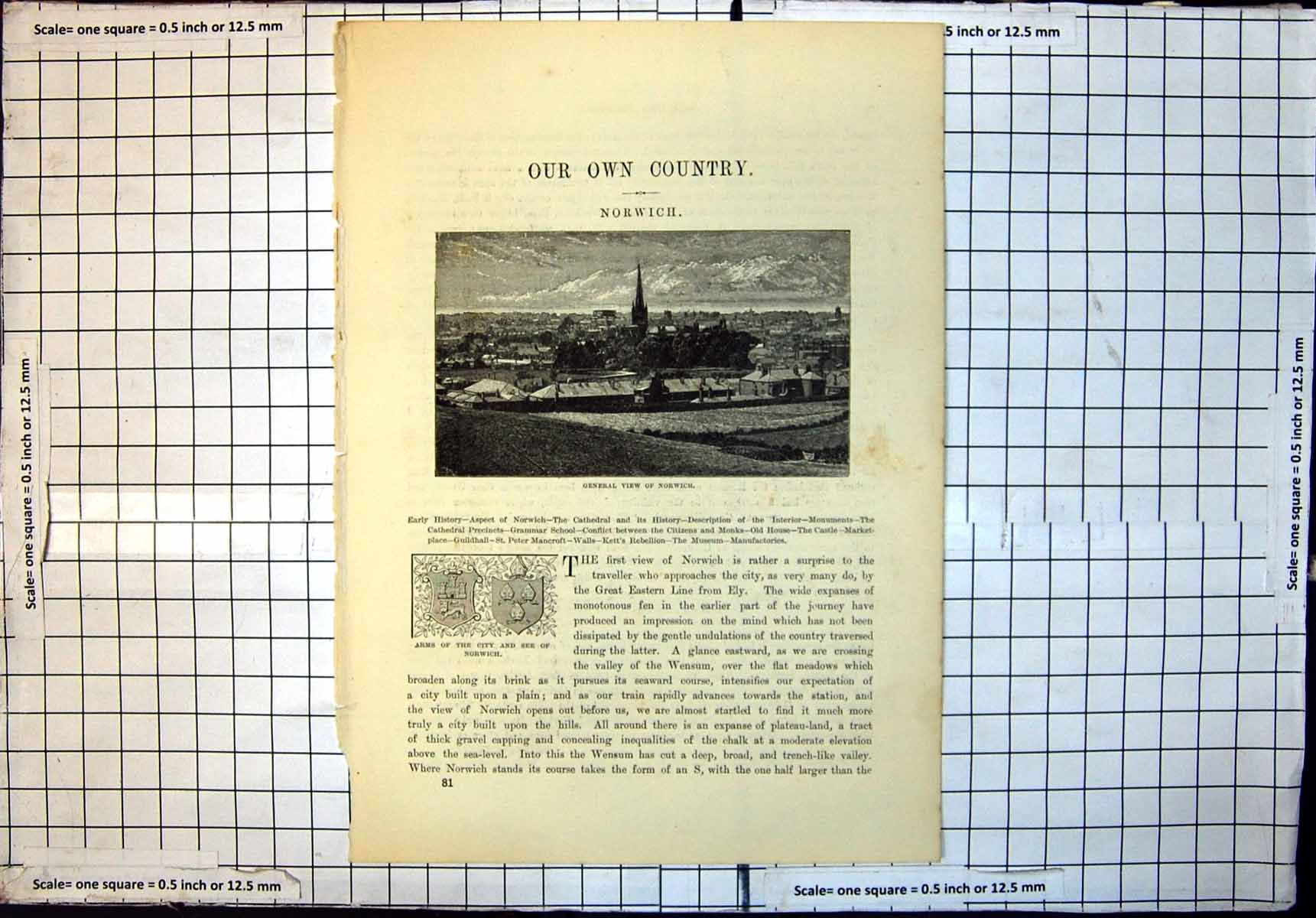 Original Old Antique Print General View Norwich