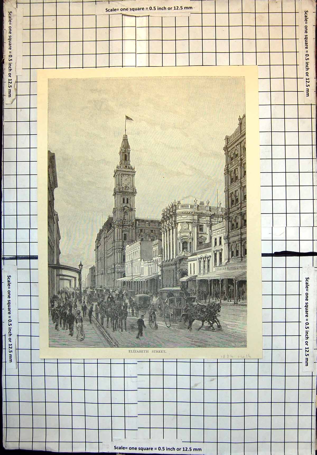 Antique Print Elizabeth Street Melbourne Horses Carriages Pedestrians 1886 19th