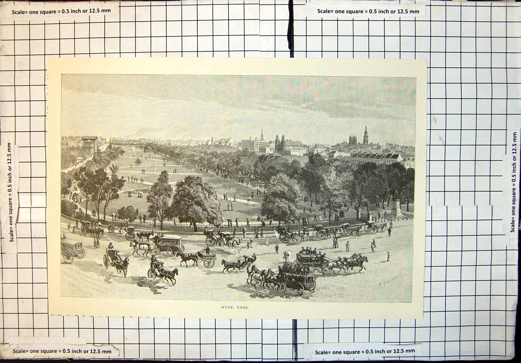Original Old Antique Print Hyde Park Sydney Trees Horses Carriages 1886 19th