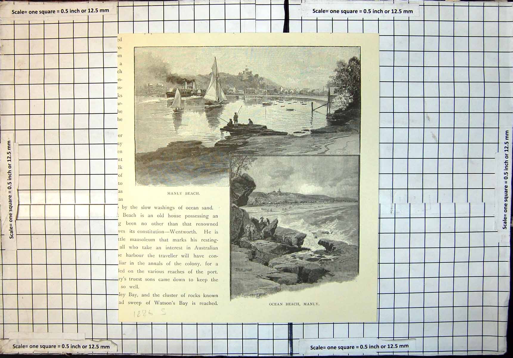 Original Old Antique Print Manly Beach Ocean Beach Manly Sydney 1886 Victorian