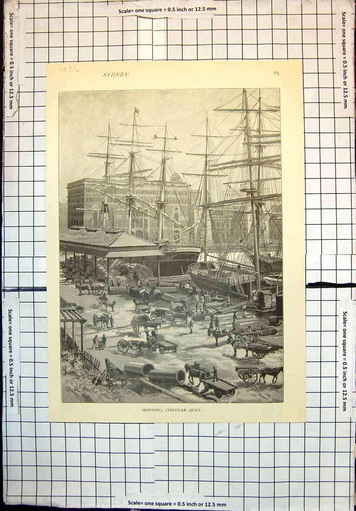 Antique Print Sydney Shipping Circular Quay Loading Ships Horses Carts 1886