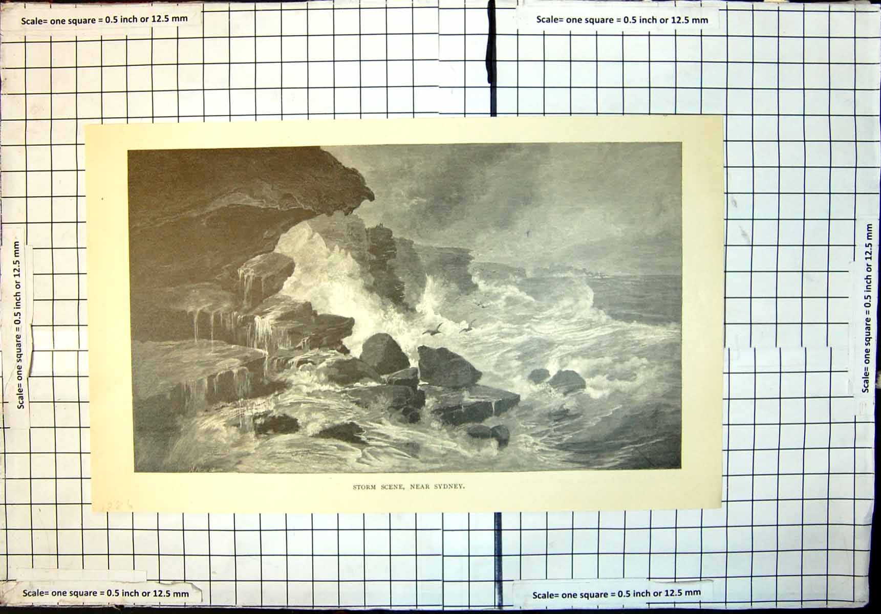 Old Print Storm Scene Near Sydney Stormy Sea Waves Battering Cliffs 1886 19th