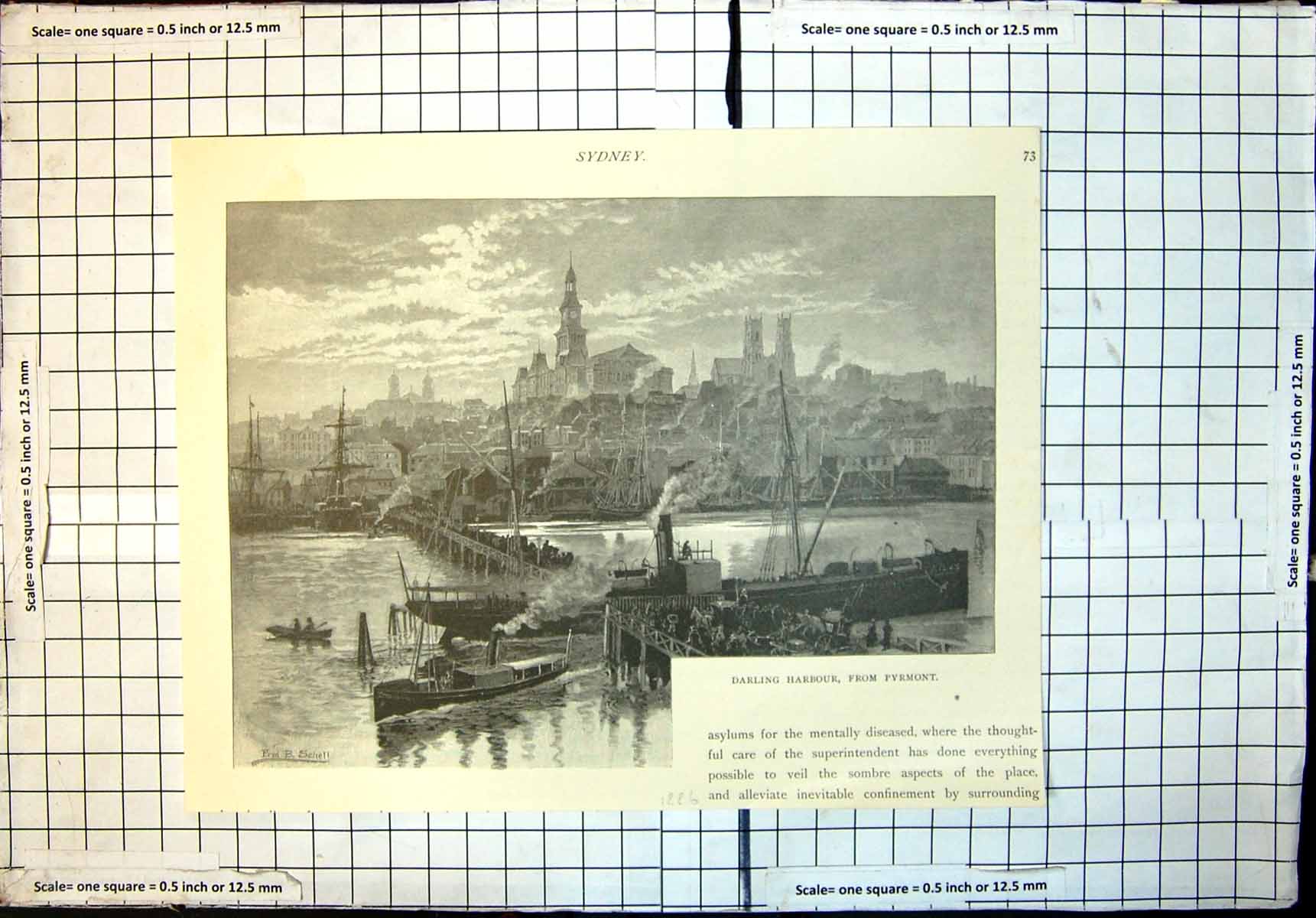 Original Old Antique Print Sydney Darling Harbour From Pyrmont Fred Shell 1886