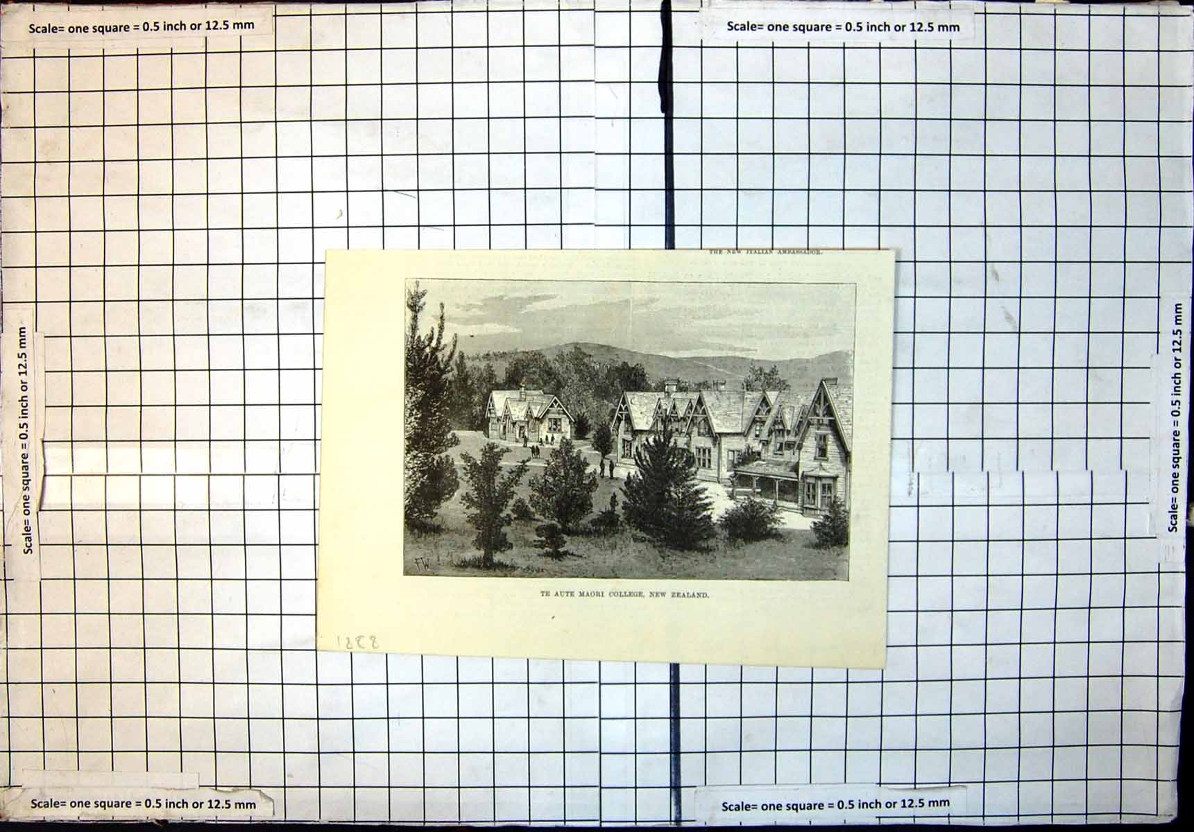 Original Old Antique Print Aute Maori College New Zealand 1888 19th