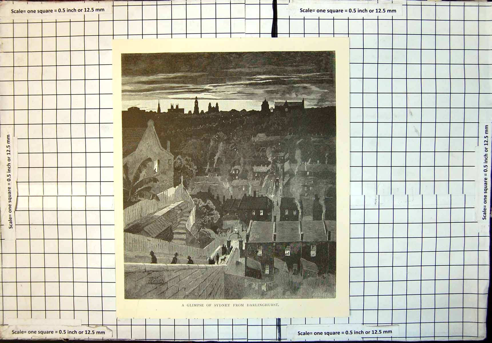 Original Old Antique Print Glimpse Sydney From Darlinghurst Night 1886 19th