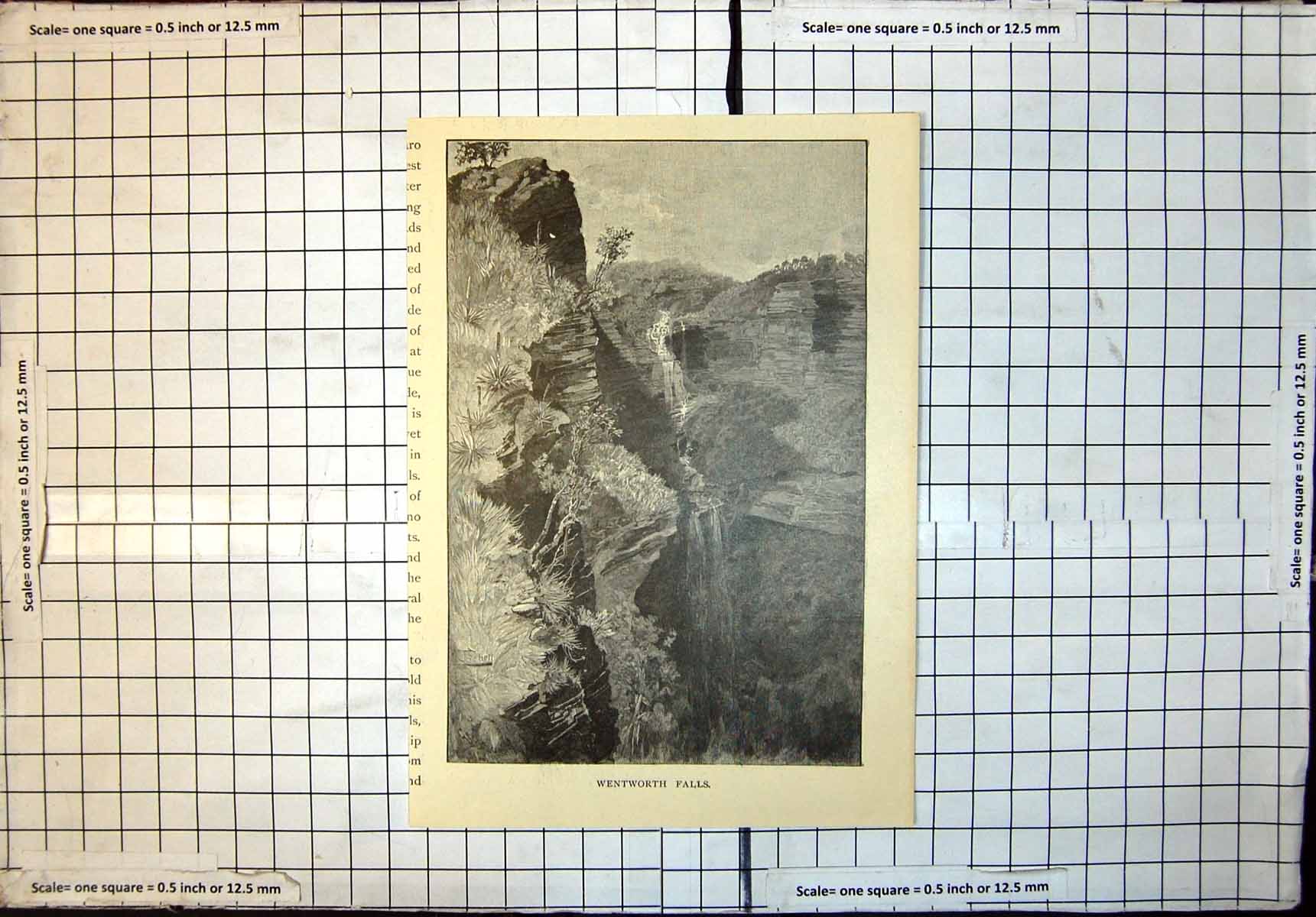 Original Old Antique Print Wentworth Falls New South Wales Australia 1886 19th