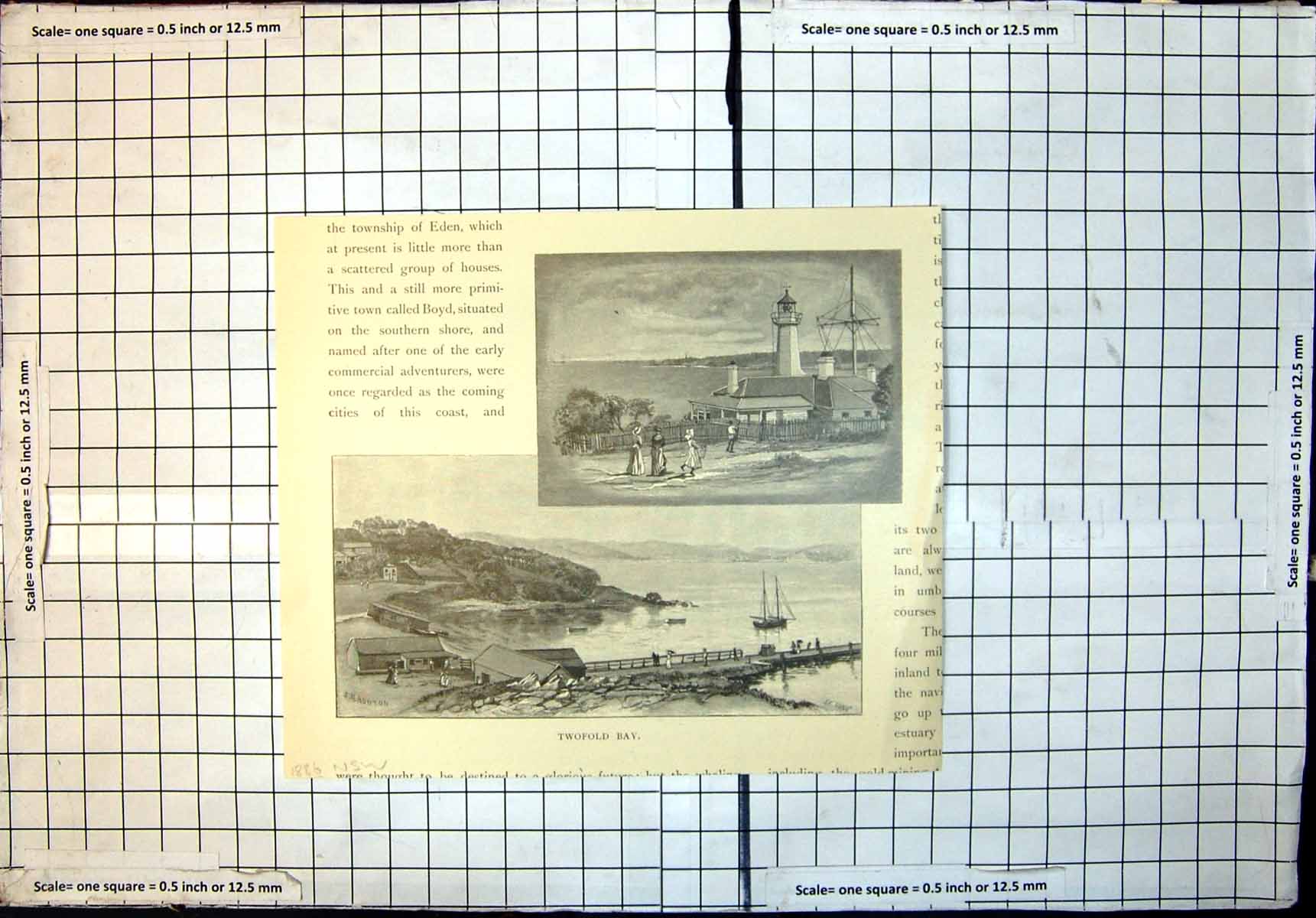 Original Old Antique Print TwofBay New South Wales Ships Lighthouse 1886 19th