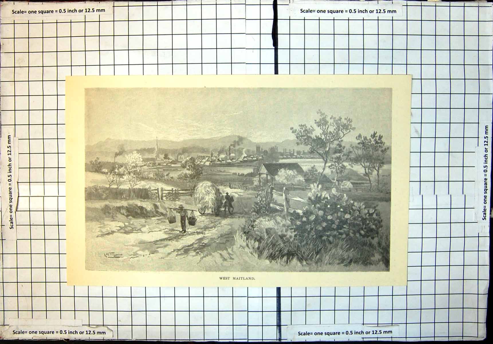 Old Print West Maitland New South Wales Cart Straw Carrying Baskets 1886 19th