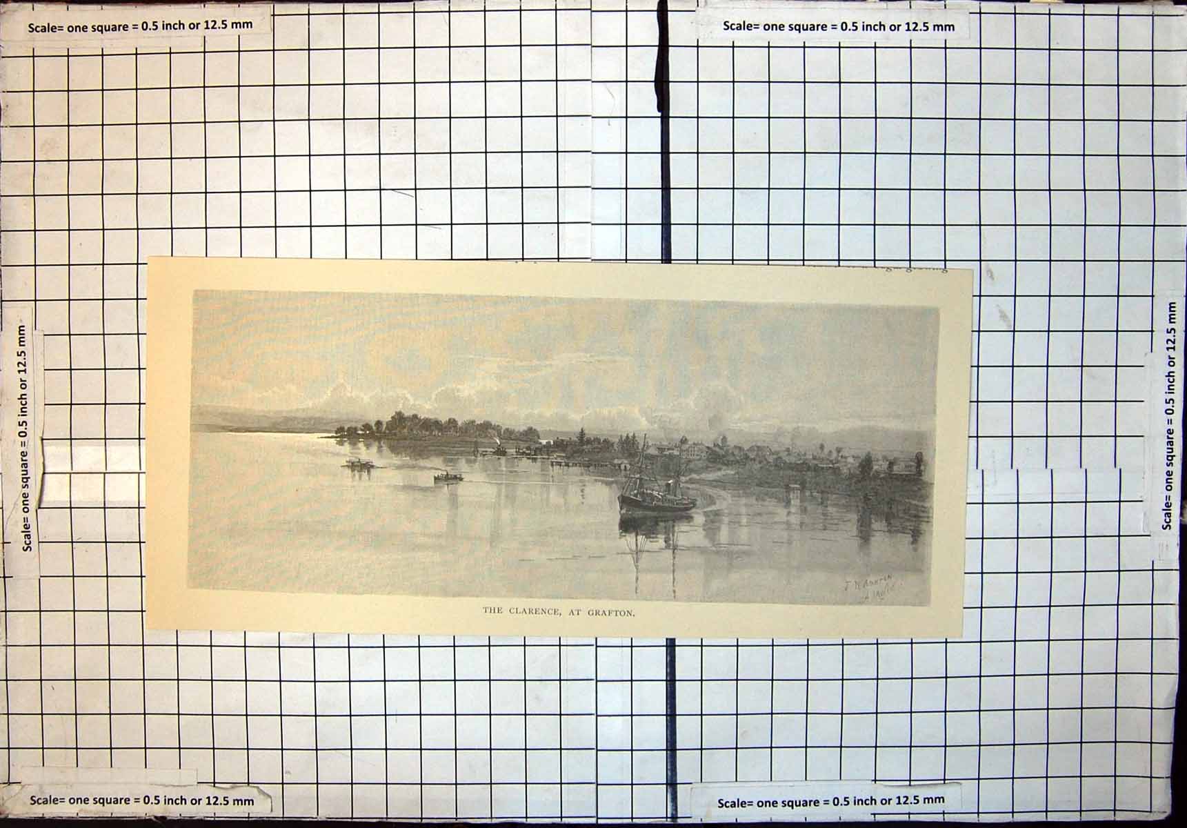 Original Old Antique Print Clarence River Grafton New South Wales 1886 19th