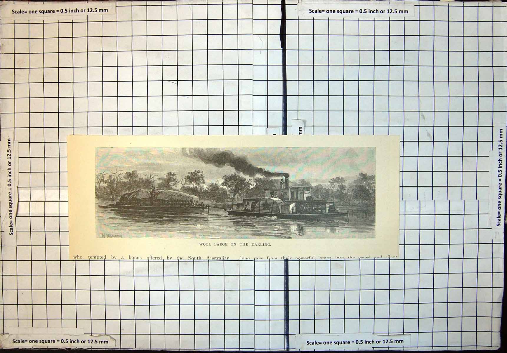 Original Old Antique Print Wool Barge Darling River New South Wales 1886 19th