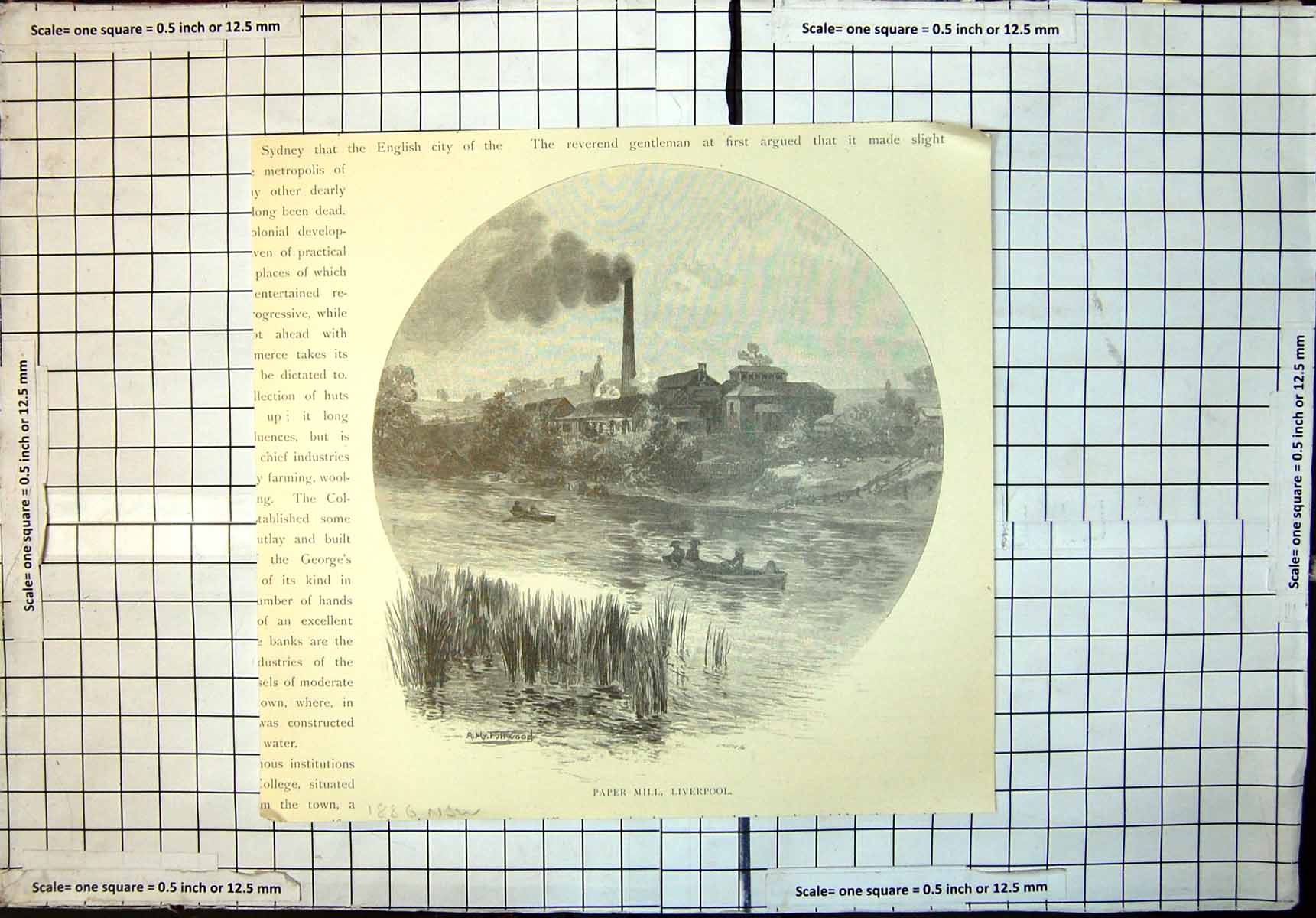 Original Old Antique Print Paper Mill Liverpool New South Wales 1886 Victorian