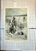 Antique Old Print Thirst In Bush Men Whips Find Man Collapsed I Taylor 1895