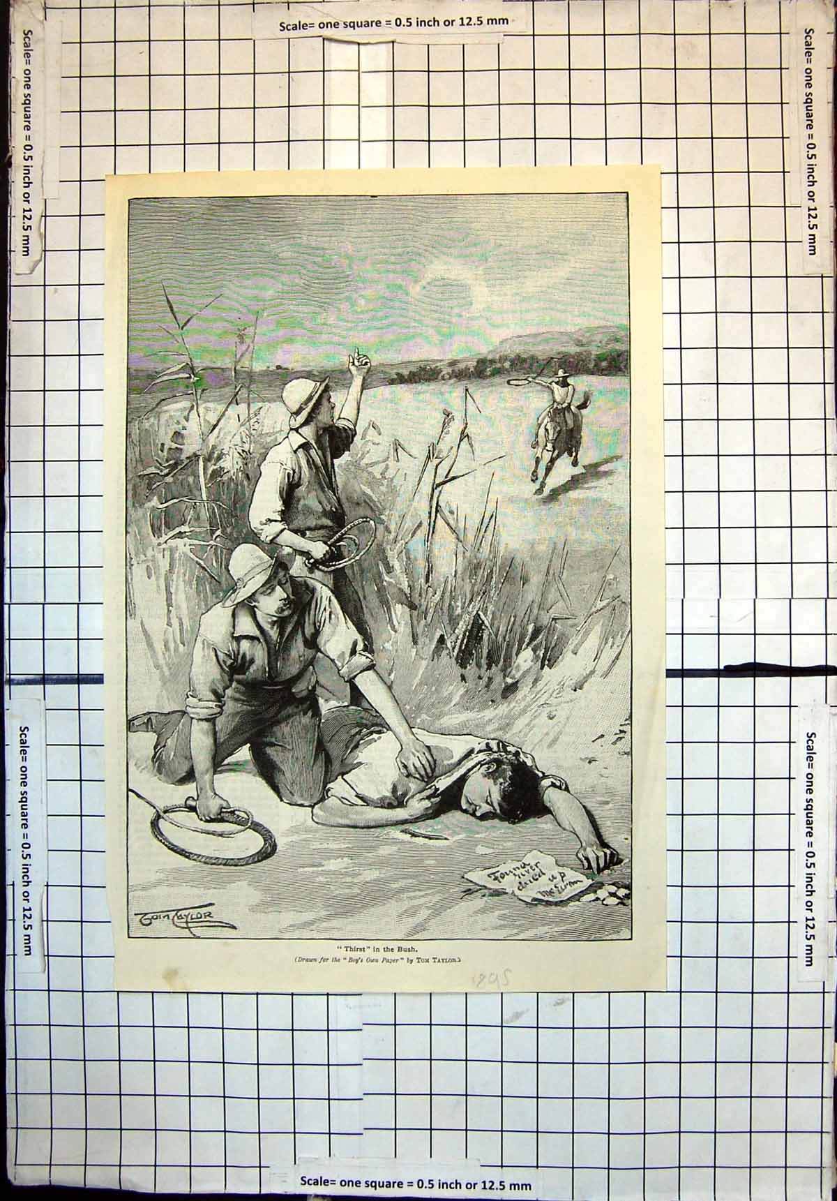 Antique Old Print Thirst In Bush Men Whips Find Man Collapsed I Taylor 1895